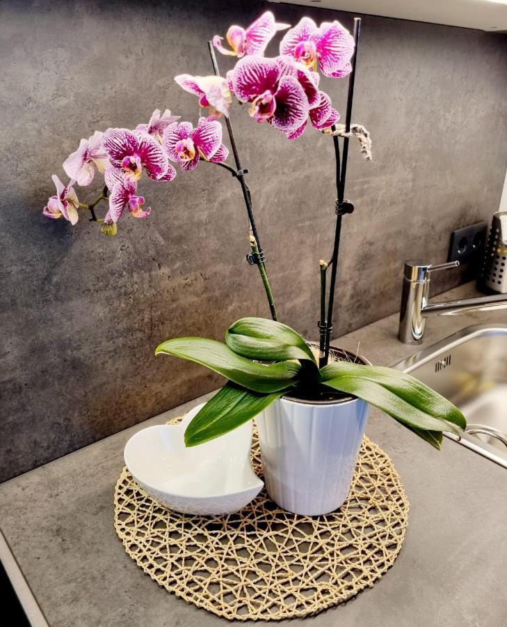 Appartements Falkner Roppen エクステリア 写真