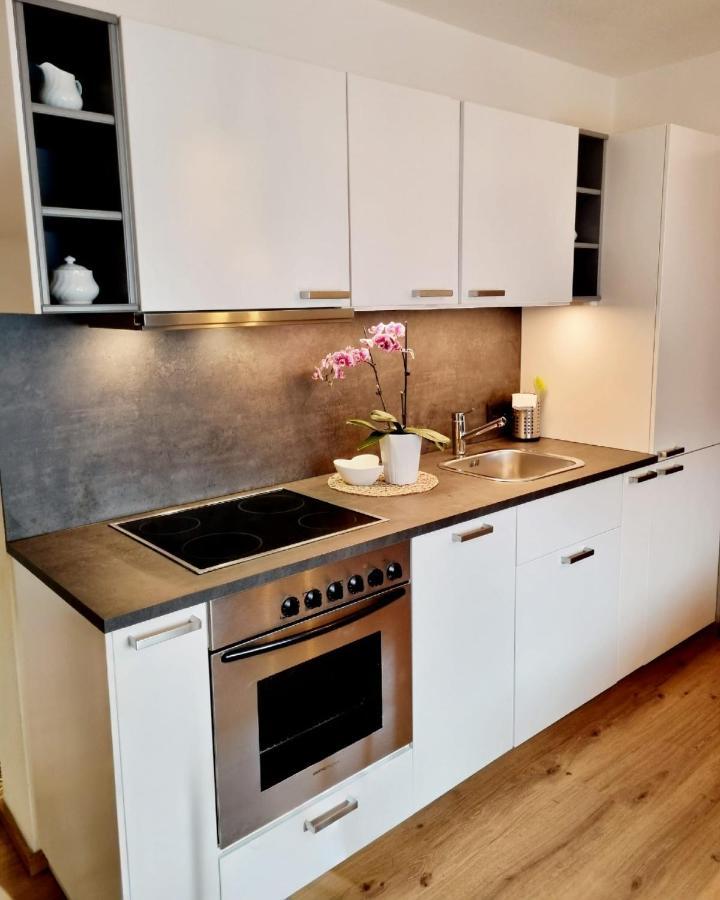 Appartements Falkner Roppen エクステリア 写真